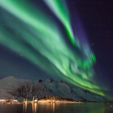 Arctic City Studio - Perfectly Located In The Main Street Tromsø Exterior foto